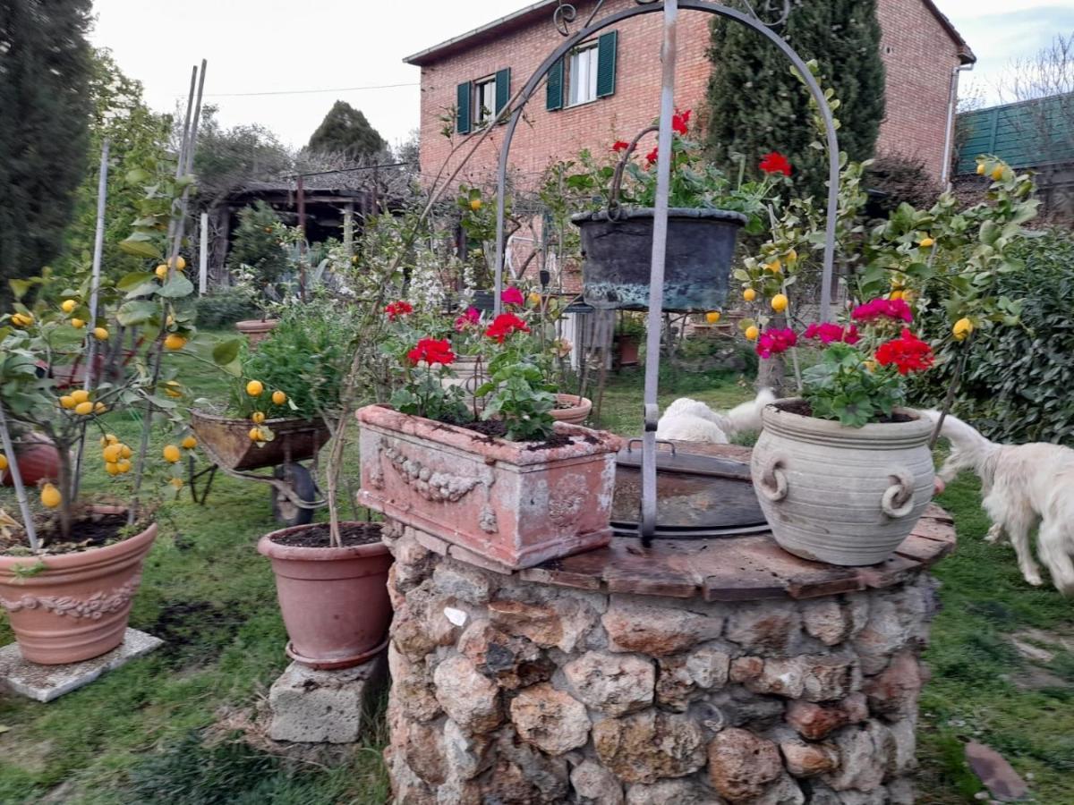 Апартаменты Casa Patti Alle Porte Di Сиена Экстерьер фото