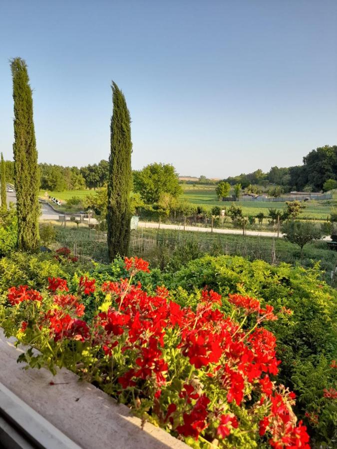 Апартаменты Casa Patti Alle Porte Di Сиена Экстерьер фото